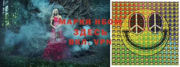 амф Володарск