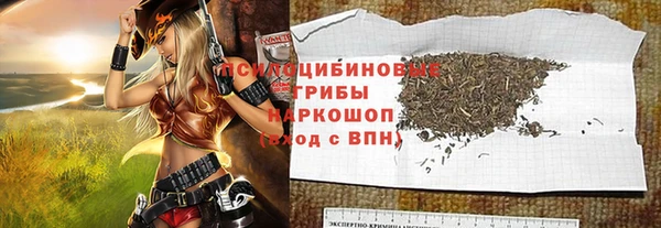 амф Володарск