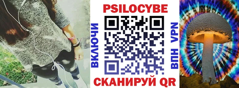 Купить  Кинель  Псилоцибиновые грибы Psilocybine cubensis 
